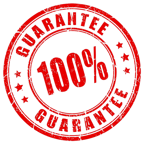 Secure GP1 F1 tickets